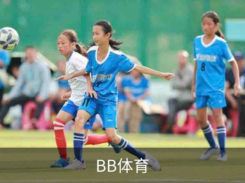 BB体育介绍